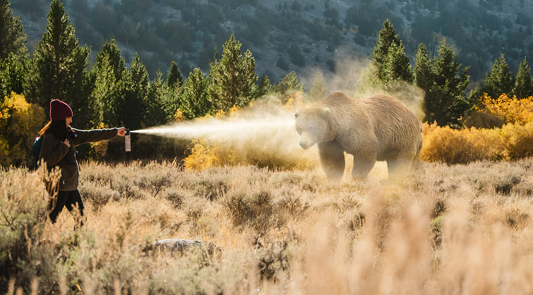 Featured image Bear Spray