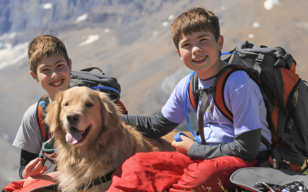 Camping with Pets: Essential Gear for Dog-Friendly Adventures.