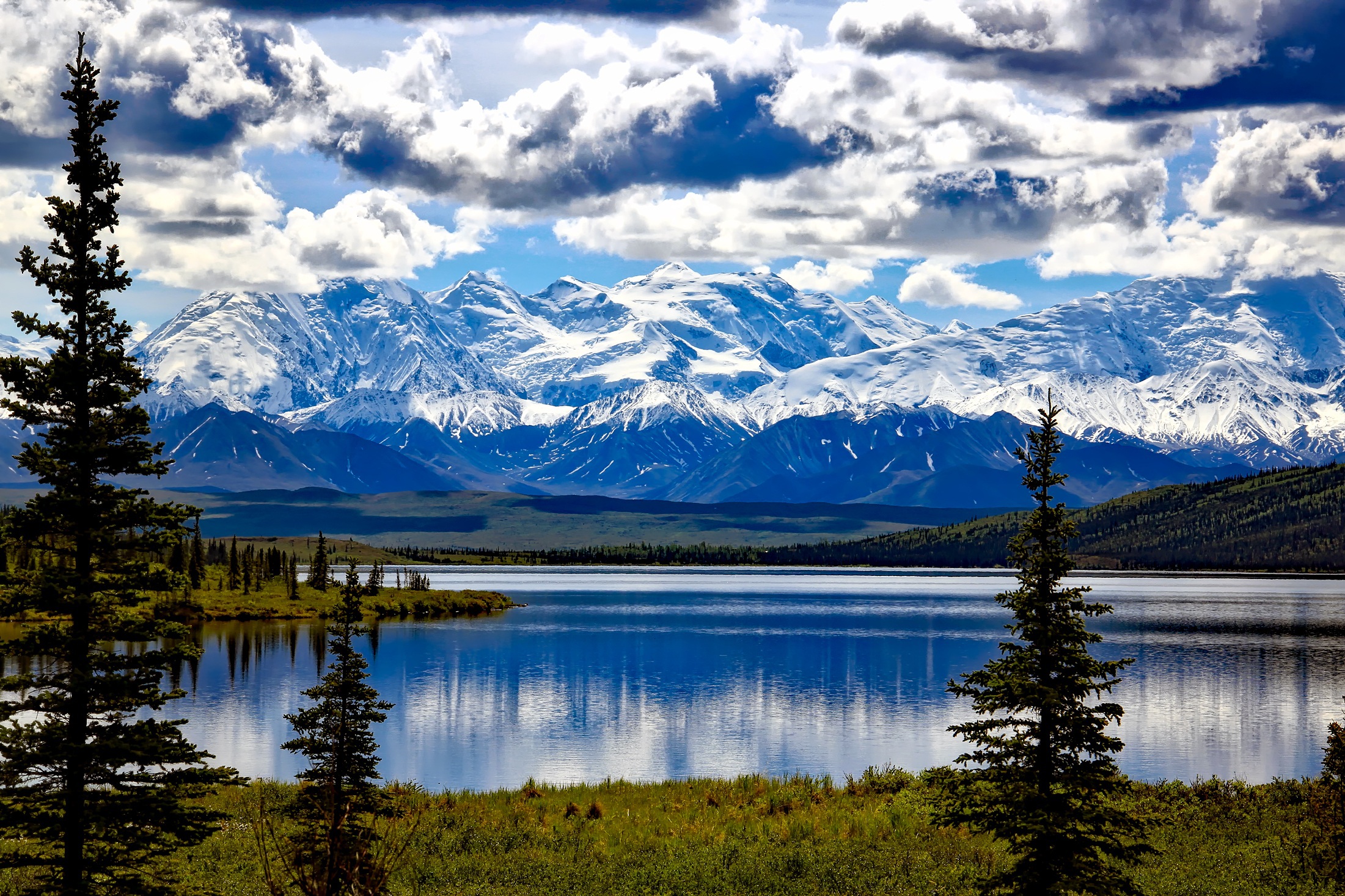 denali-national-park-1733313 denali-national-park