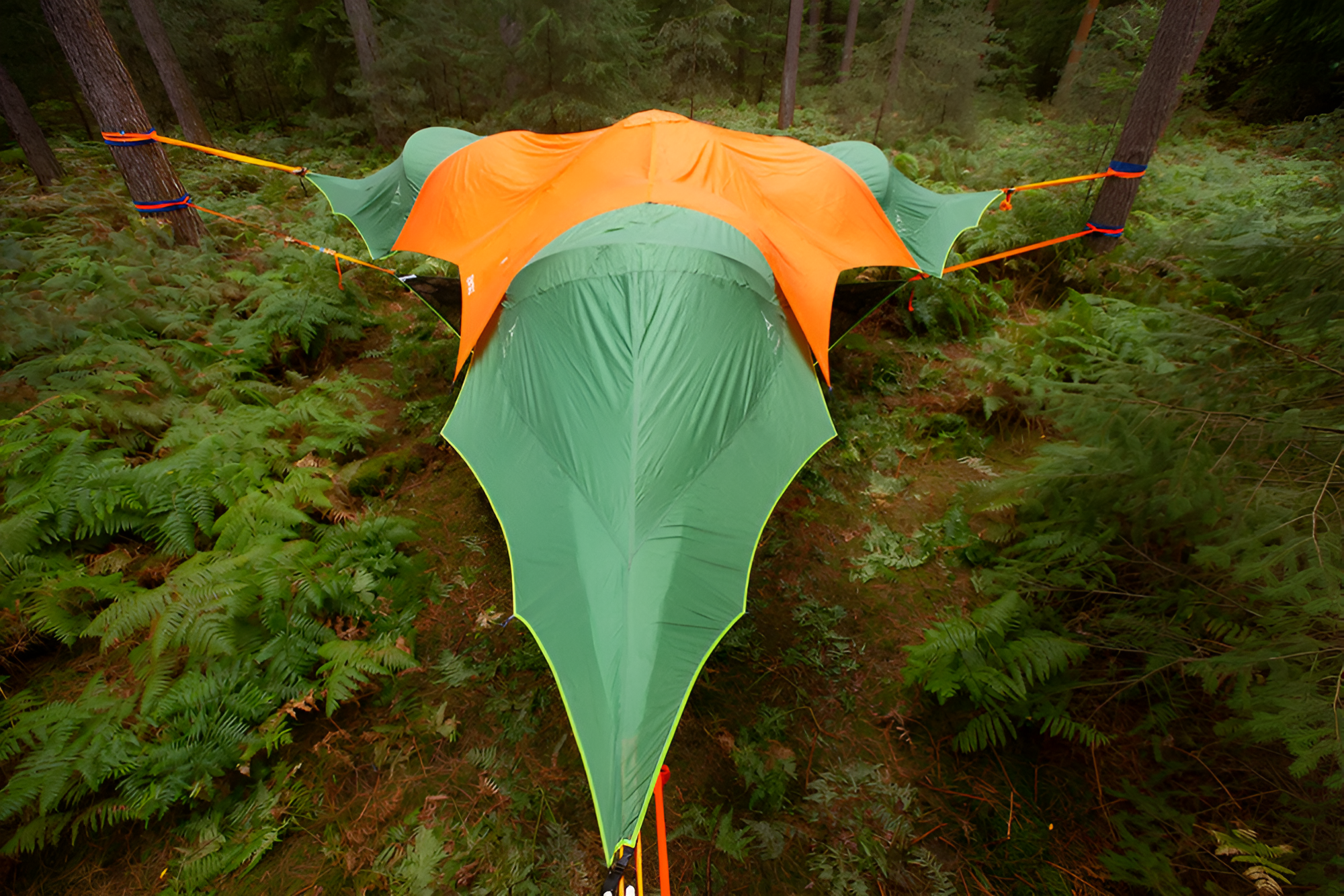 Trilogy 6-Person Super Tree Tent